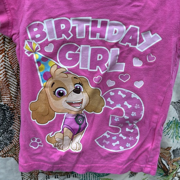 Nickelodeon Paw Patrol Pink SS 3rd Birthday Girl T-Shirt with Cartoon Design 2T - Picture 4 of 16
